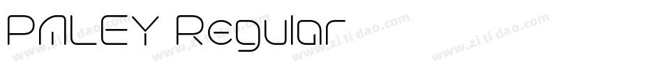 PALEY Regular字体转换